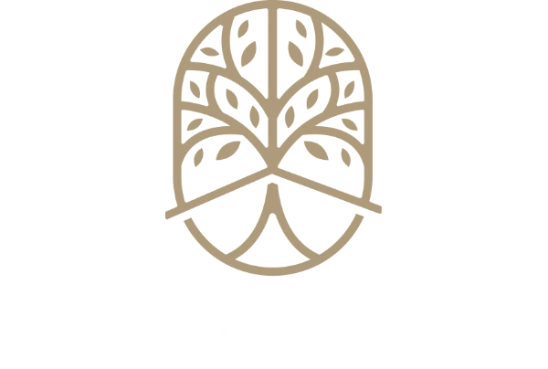 Comfort Studio